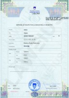 Citizenship certificate